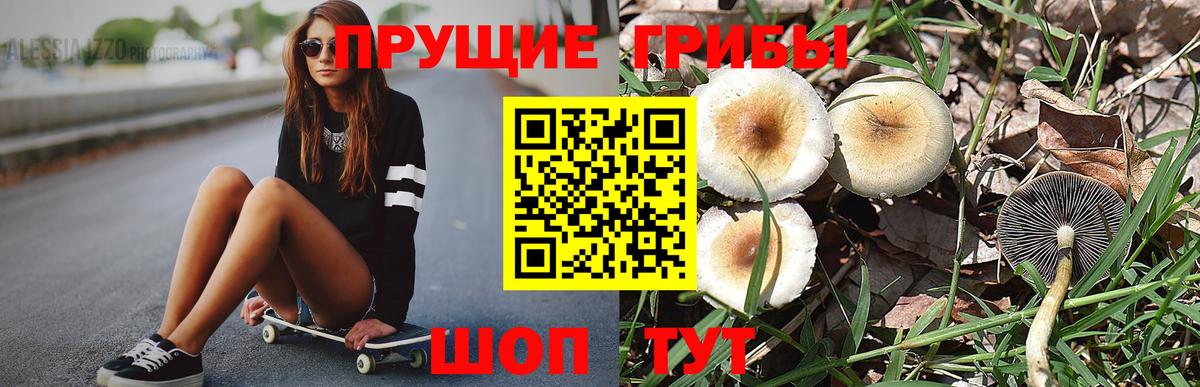 Галлюциногенные грибы мухоморы Острогожск