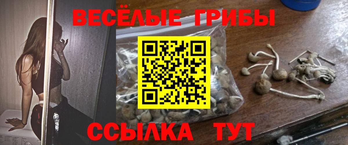 Острогожск  Галлюциногенные грибы Cubensis  Псилоцибиновые грибы Psilocybe  Вход с VPN 